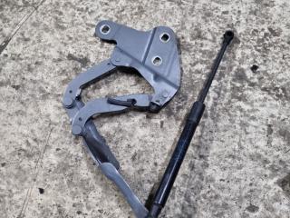 петля капота правая BMW X1 E84 [рестайлинг] E84 2012, 2.0 л., N47 D20 C, дизель, МКПП, внедорожник 5 дв., задний привод, правый руль, 2990360