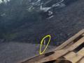 дверь задняя правая BMW X5 F15 2018, 5.0 л., дизель, АКПП, внедорожник 5 дв., 41517386740 - фото №3