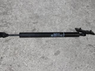ограничитель открывания двери BMW 7 серия F01/F02 [рестайлинг] 2013, 3.0 л., дизель, АКПП, black sapphire metallic (475), седан, правый руль, 7177647
