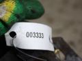 ТНВД Citroen C4 Picasso 1 поколение (2006 - 2013), 1.6 л., дизель, 0445010102 - фото №4