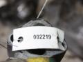 клапан EGR Audi A3 8P (2003 - 2005), 1.8 л., бензин, 06A131501G - фото №5
