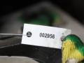кронштейн КПП Audi A8 D4/4H (2009 - 2014), 4.2 л., бензин, 4H0399113E - фото №5