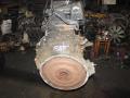 двигатель Mercedes-Benz Vario W670 (1996 - 2013), 4.2 л., дизель, OM904LA - фото №4