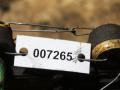 блок управления двигателем Mercedes-Benz Vario W670 (1996 - 2013), 4.2 л., дизель, 0004460440 - фото №5