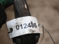 рычаг задний Mercedes-Benz M-Класс W164 2005, 3.0 л., дизель, 000060364106 - фото №3