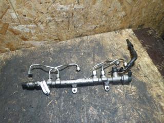 топливная рампа Hyundai Santa Fe 3 поколение (DM) 2012, 2.2 л., CRDi, дизель, АКПП, 0445214211
