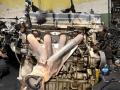 двигатель Kia Sportage 3 поколение 2012, 2.4 л., G4KE, бензин, АКПП, полный привод, G4KE - фото №5
