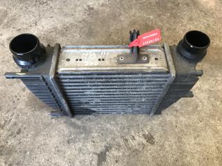 интеркулер Renault Clio 3 поколение [рестайлинг] (2009 - 2014), 1.5 л., дизель, 144618748