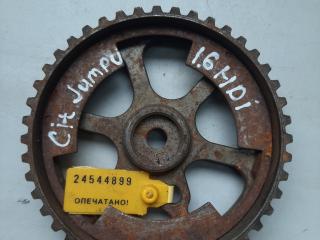 шкив распредвала Citroen Jumpy 2 поколение 2007, 1.6 л., дизель, минивэн