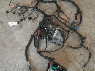 проводка двигателя Renault Laguna 3 поколение 2009, 1.5 л., дизель, 240114146R