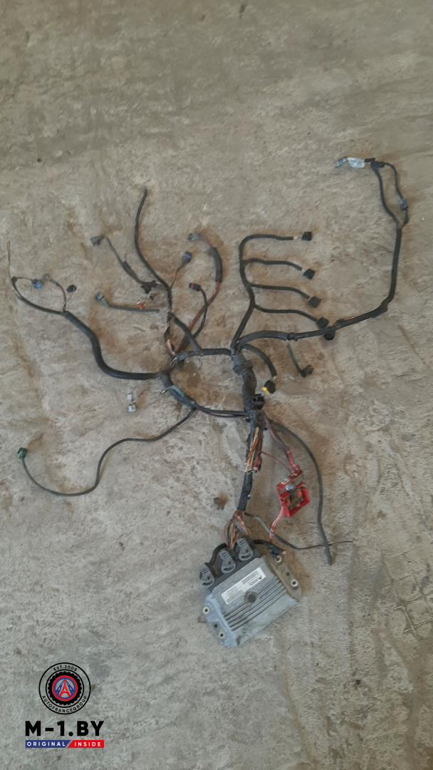 проводка двигателя Renault Megane 2 поколение (2002 - 2006), 1.6 л., бензин, 8200387138 - фото №1