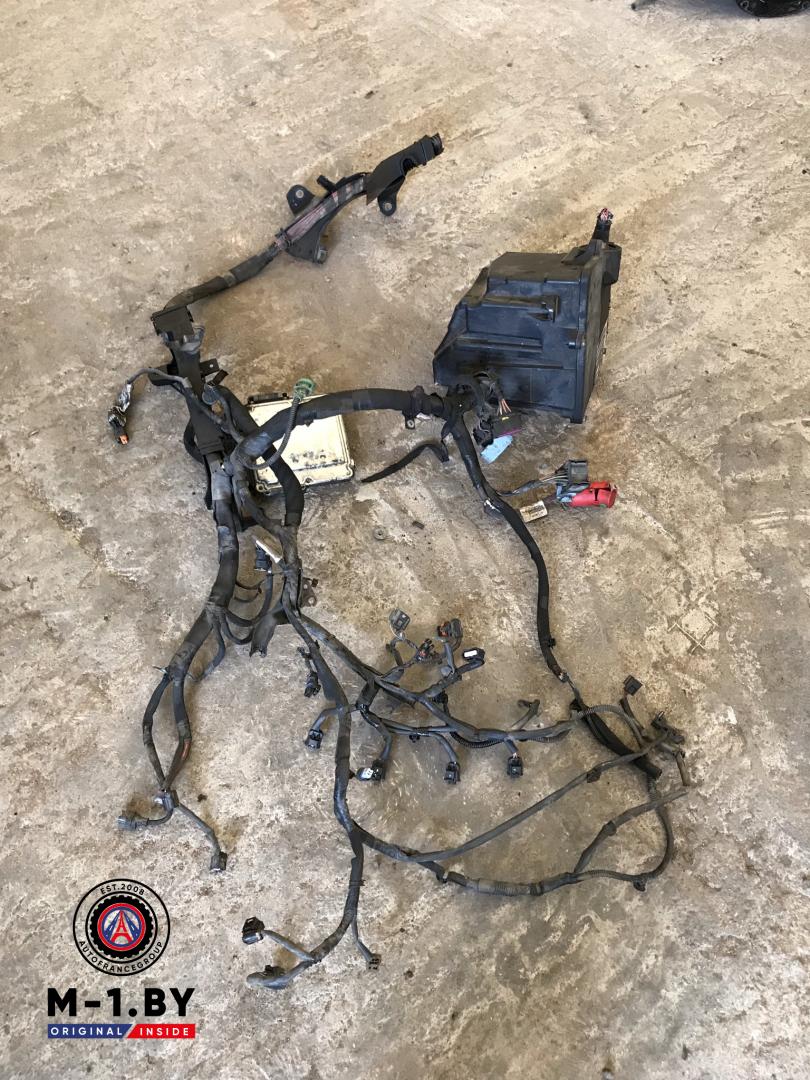 проводка двигателя Renault Master 3 поколение (2010 - 2014), 2.3 л., дизель, 0281017977 - фото №1