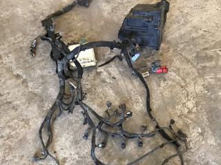 проводка двигателя Renault Master 3 поколение (2010 - 2014), 2.3 л., дизель, 0281017977