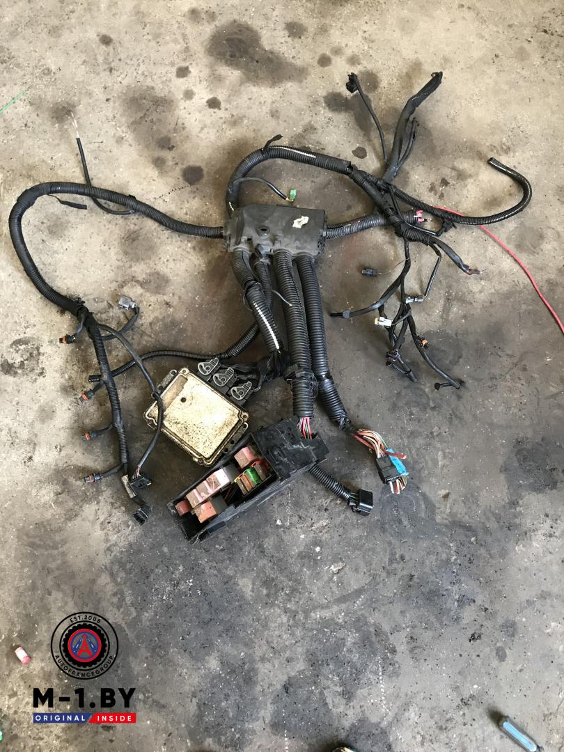 проводка двигателя Renault Master 2 поколение (1998 - 2003), 1.9 л., дизель, 0281012184 - фото №1