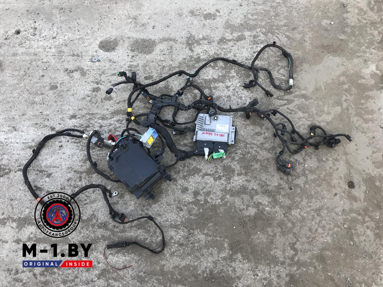 проводка двигателя Citroen Jumpy 3 поколение (2016 - 2025), 2.0 л., дизель, 9818035080 - фото №1
