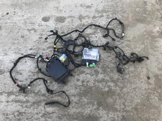 проводка двигателя Citroen Jumpy 3 поколение (2016 - 2025), 2.0 л., дизель, 9818035080