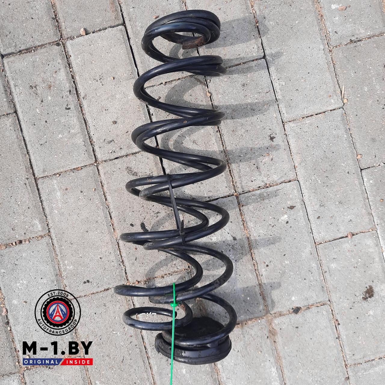 пружина задняя Renault Laguna 2 поколение (2001 - 2005), дизель - фото №1