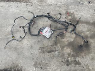 проводка двигателя Renault Scenic RX4 1 поколение (1996 - 1999), 1.9 л., дизель, 0281010189