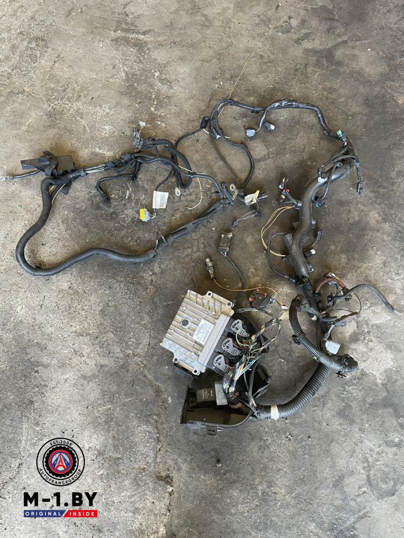 проводка двигателя Citroen C5 2 поколение (2008 - 2017), 2.0 л., дизель, 9684771480 - фото №1