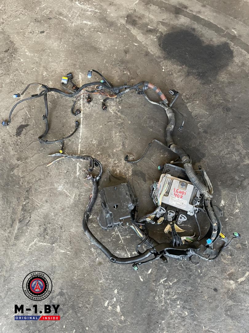 проводка двигателя Peugeot 407 1 поколение (2004 - 2010), 1.6 л., дизель, 0281011633 - фото №1
