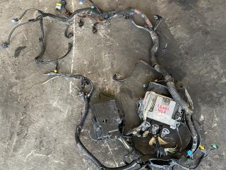 проводка двигателя Peugeot 407 1 поколение (2004 - 2010), 1.6 л., дизель, 0281011633