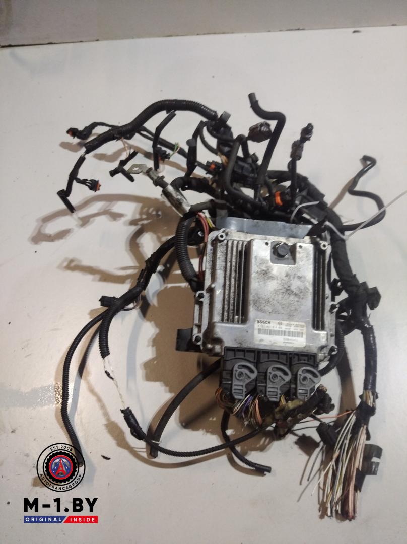 проводка двигателя Renault Scenic 2 поколение (2003 - 2006), 2.0 л., дизель, 0281011814 - фото №1