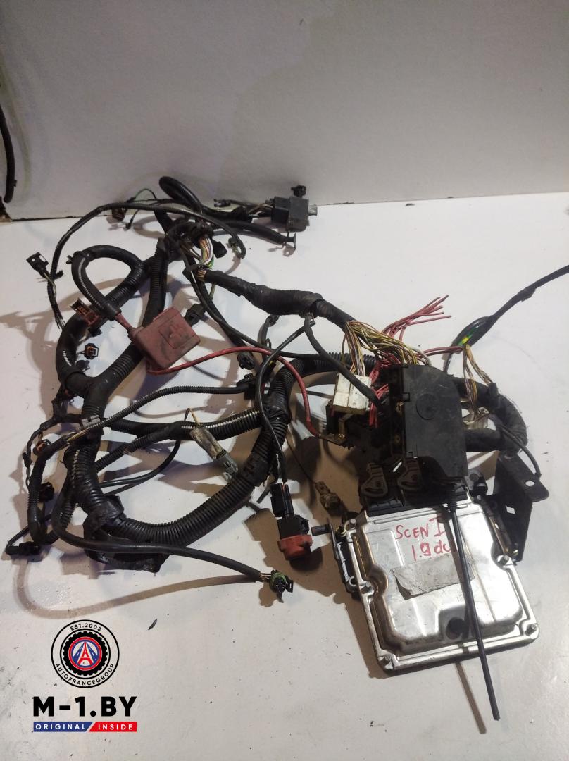 проводка двигателя Renault Scenic 1 поколение (1996 - 1999), 1.9 л., дизель, 0281001934 - фото №1