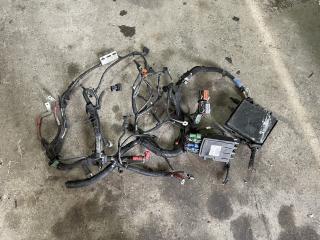 проводка двигателя Renault Laguna 2 поколение [рестайлинг] (2005 - 2007), 2.0 л., дизель