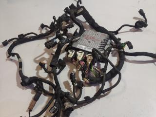 проводка двигателя Citroen C4 Picasso 1 поколение (2006 - 2013), 1.6 л., дизель, HW9666681180, S180123008A