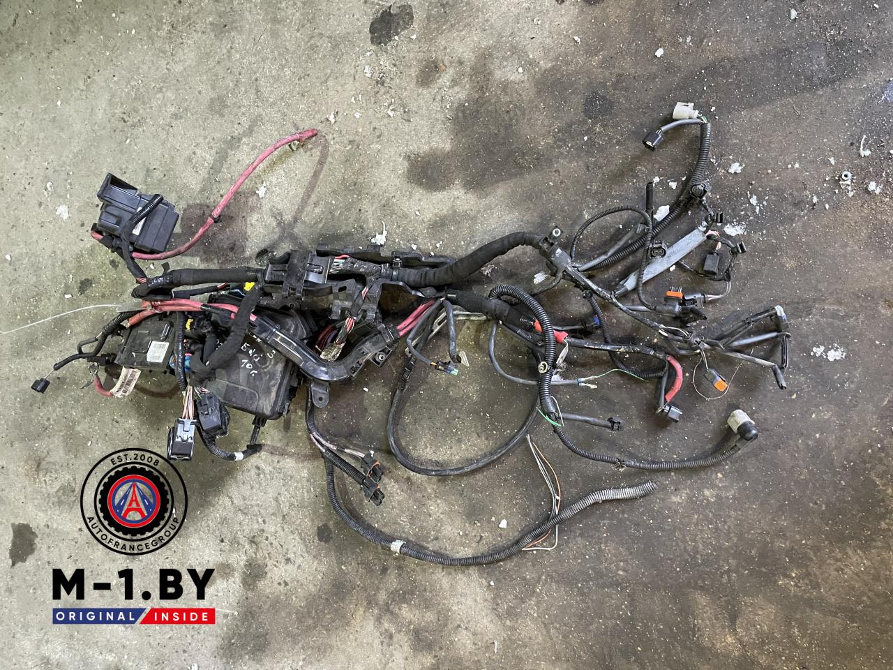 проводка двигателя Renault Scenic 3 поколение (2009 - 2012), 1.5 л., дизель - фото №1