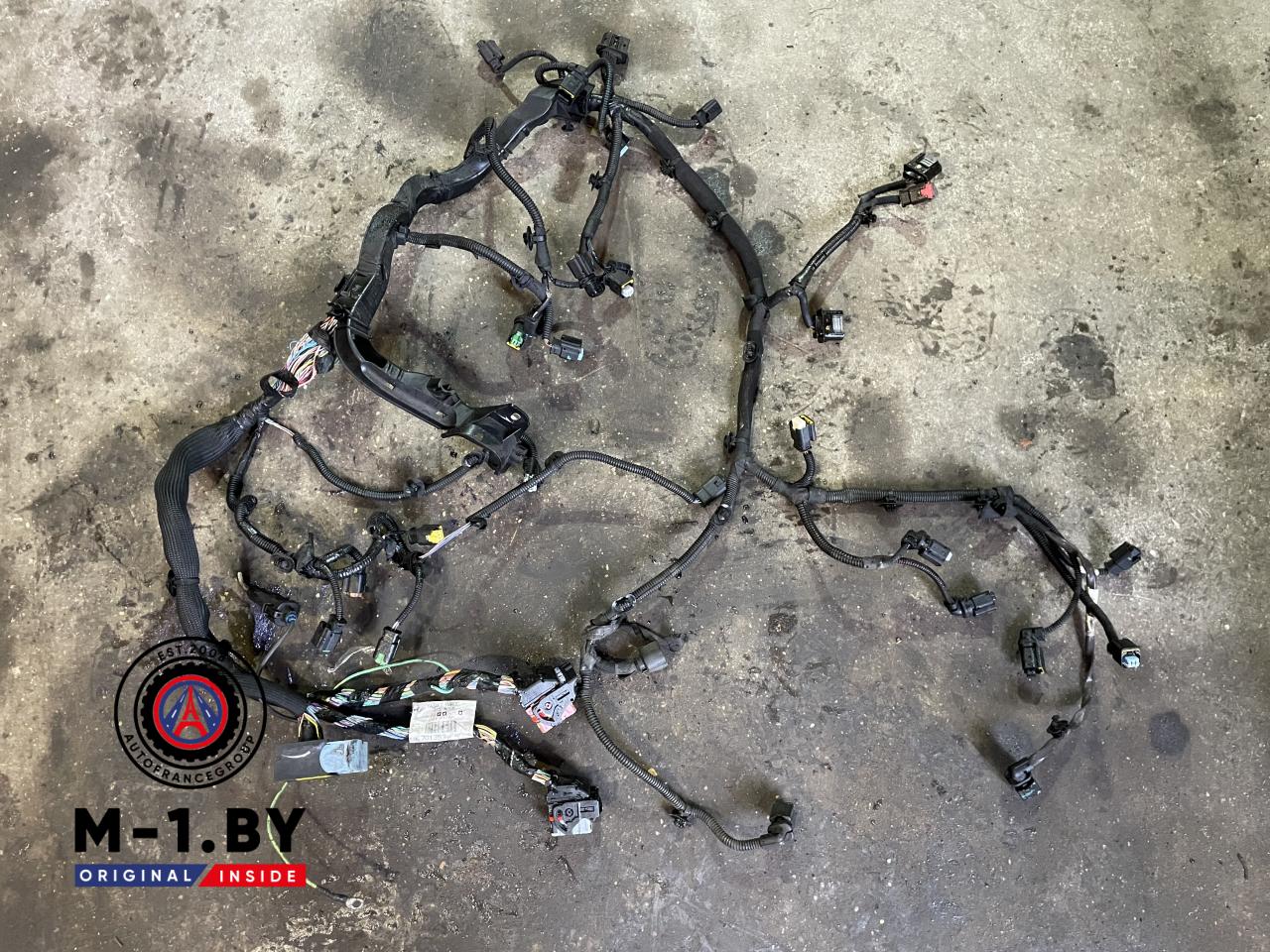 проводка двигателя Peugeot 5008 1 поколение (2009 - 2013), 2.0 л., дизель, 9667083880 - фото №1