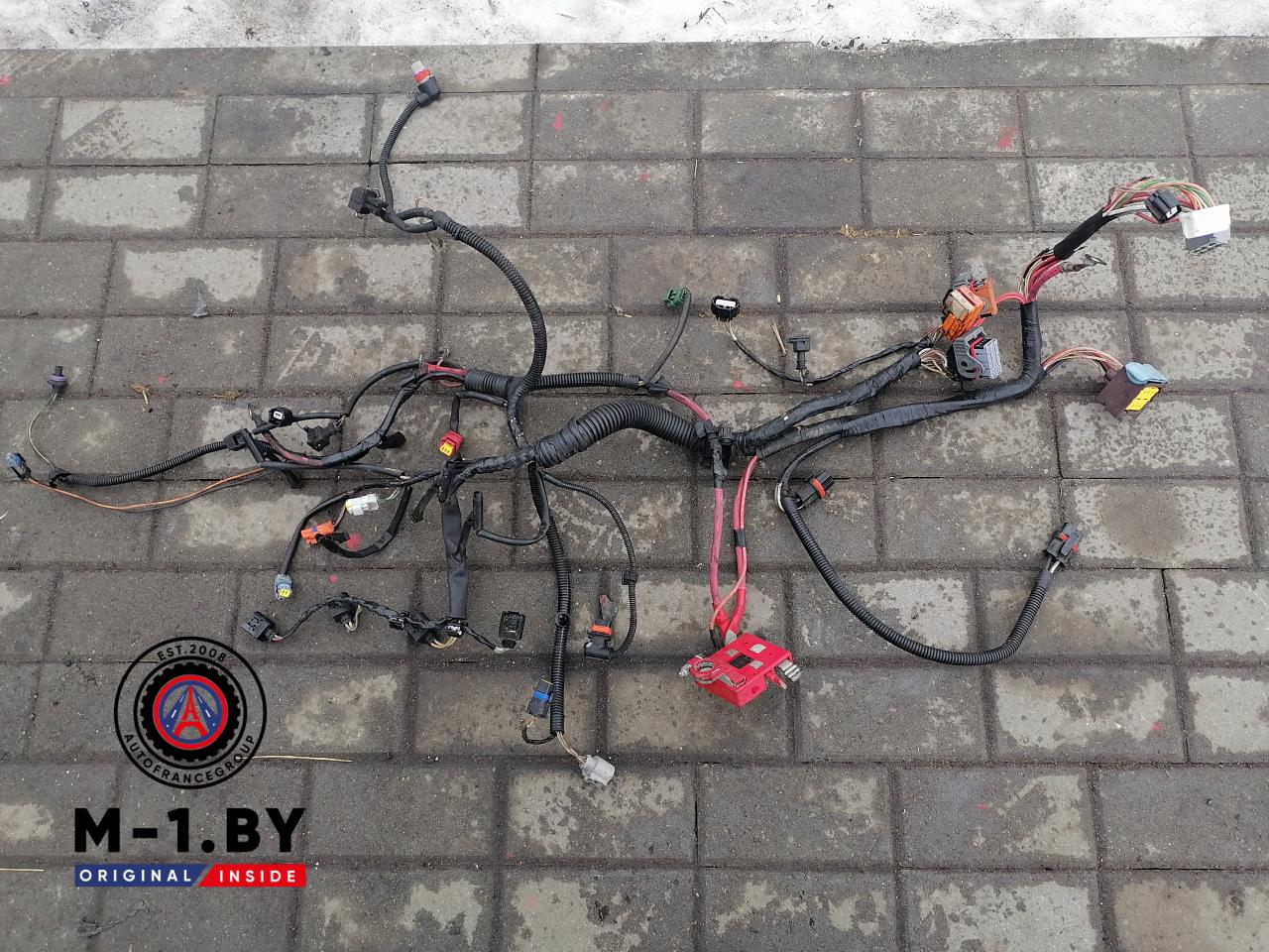 проводка двигателя Renault Scenic 2 поколение (2003 - 2006), 1.5 л., дизель, МКПП - фото №1