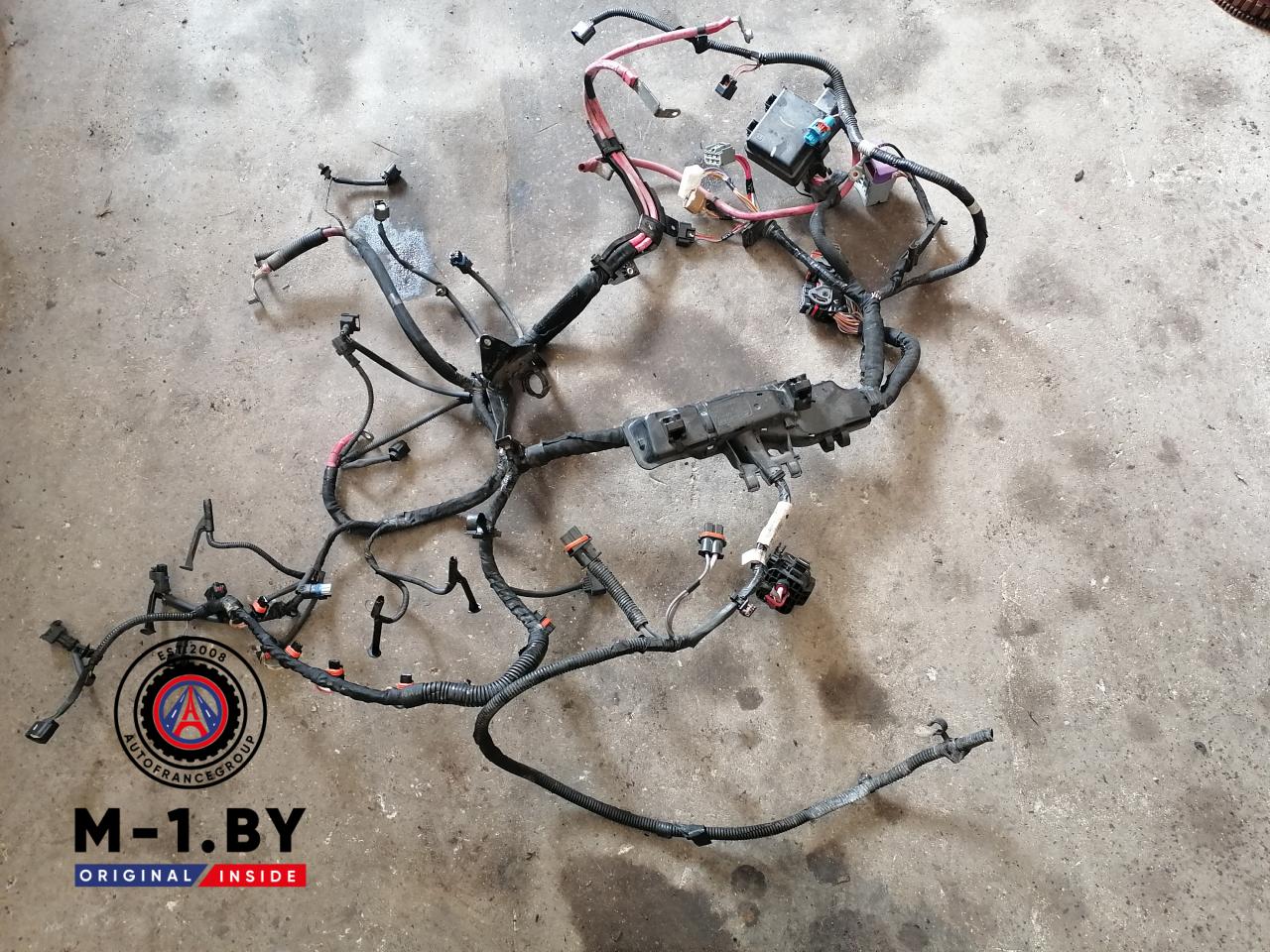 проводка двигателя Renault Megane 3 поколение (2008 - 2014), 1.9 л., дизель, МКПП, 2429600010R, 240112807R - фото №1