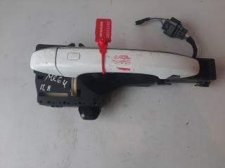 ручка наружная Renault Megane 4 поколение (2016 - 2020), 806066176R