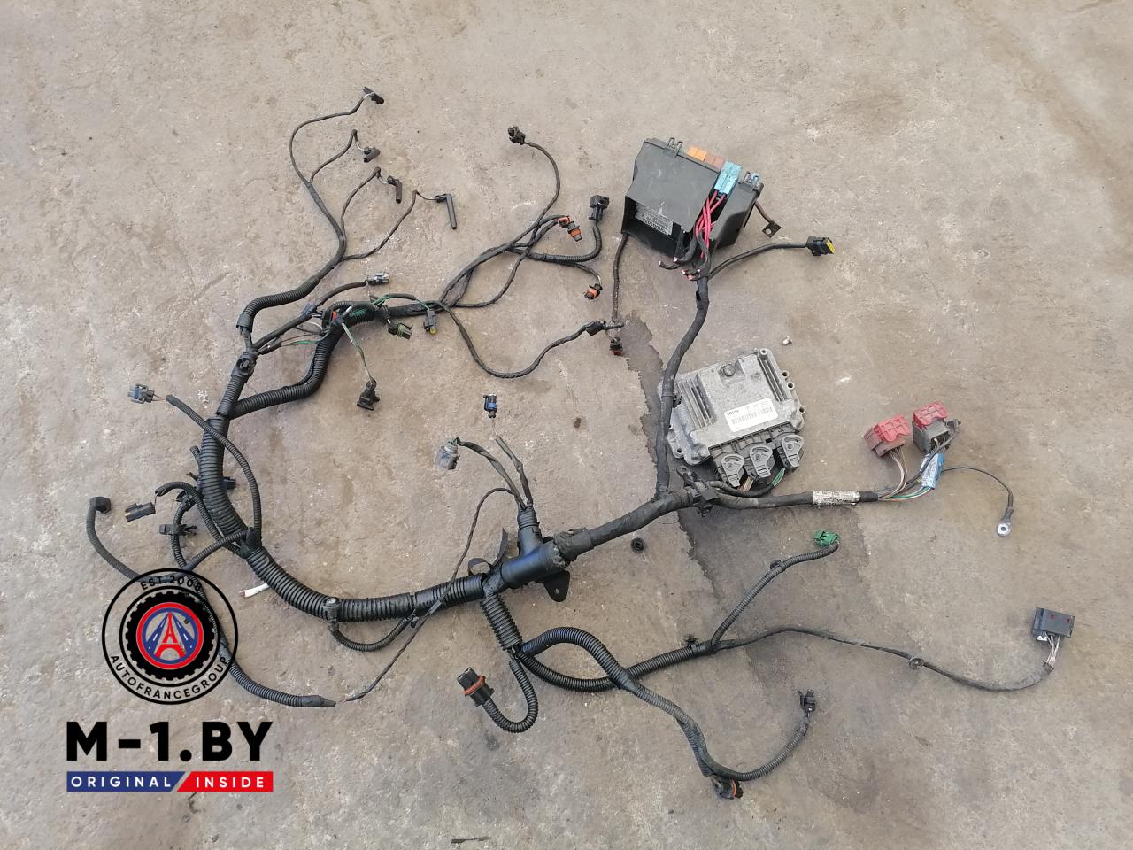 проводка двигателя Renault Master 2 поколение (1998 - 2003), 2.5 л., дизель, МКПП, 8200311550, 0281011724, 8200453770, 8200384493 - фото №1