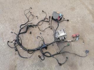 проводка двигателя Renault Master 2 поколение (1998 - 2003), 2.5 л., дизель, МКПП, 8200311550, 0281011724, 8200453770, 8200384493