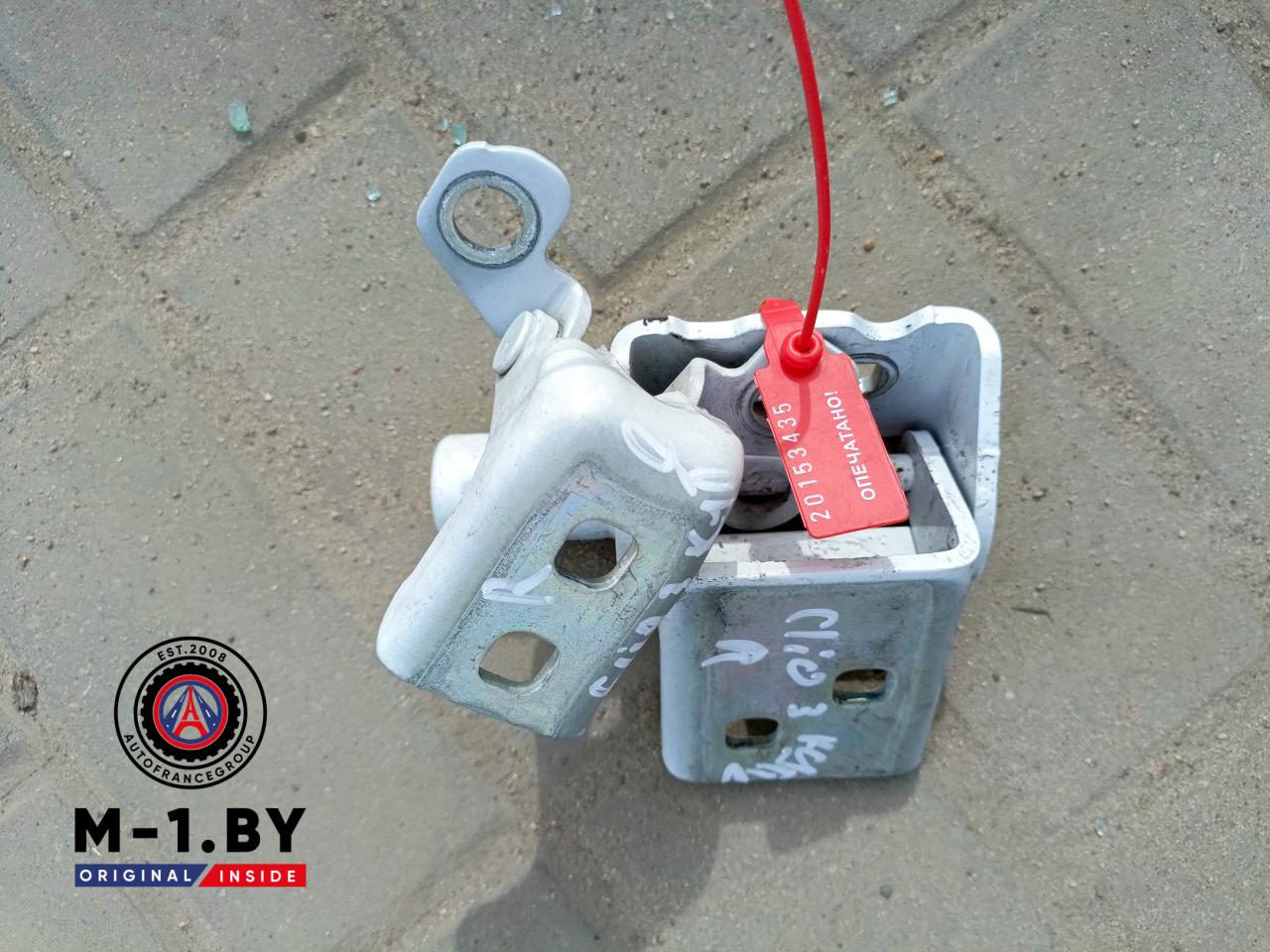 петля двери Renault Clio 3 поколение (2005 - 2009), купе - фото №1