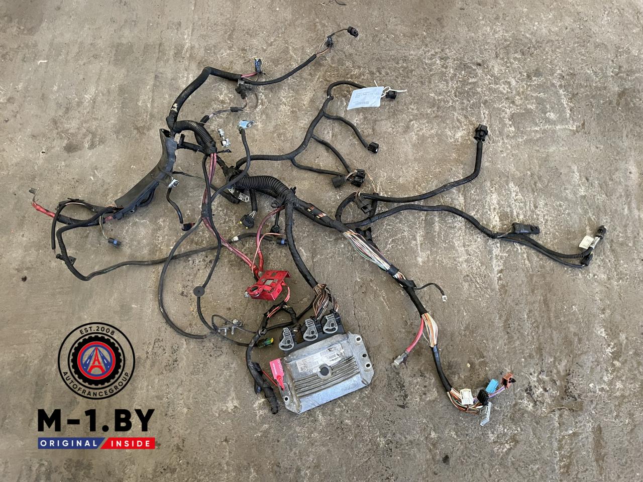 проводка двигателя Renault Megane 2 поколение (2002 - 2006), 1.6 л., бензин, 8200298457, 8200298463 - фото №1