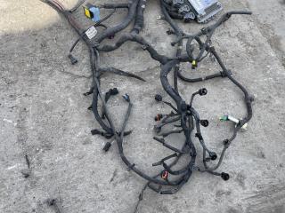 проводка двигателя Renault Trafic 2 поколение [рестайлинг] (2006 - 2015), 2.0 л., дизель, 0281017065