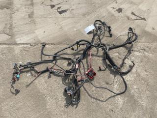 проводка двигателя Renault Megane 2 поколение [рестайлинг] (2006 - 2012), 1.6 л., бензин, K4M760