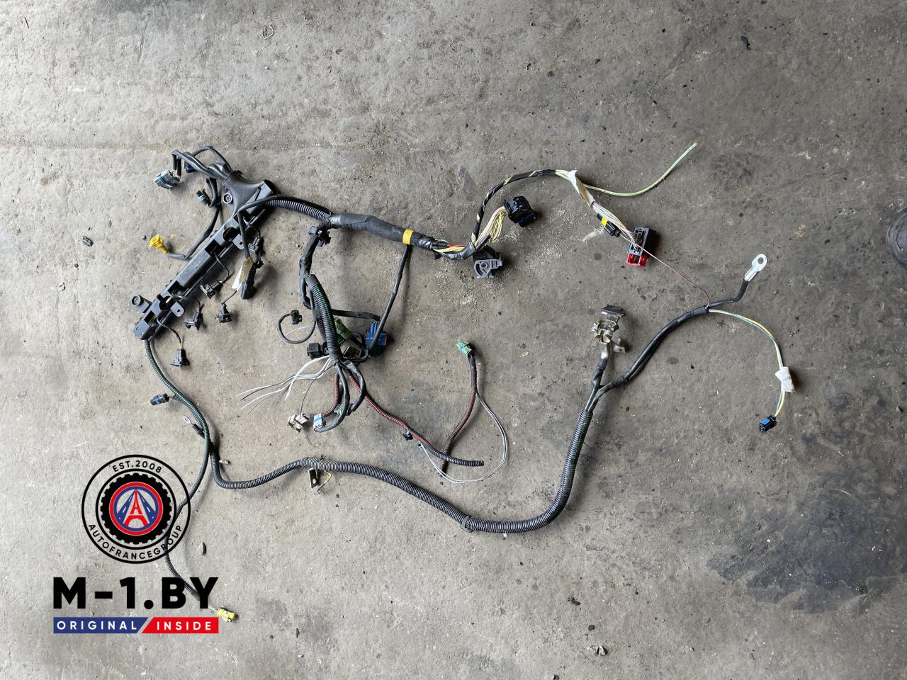 проводка двигателя Peugeot 307 1 поколение (2001 - 2005), 2.0 л., бензин, EW10D - фото №1