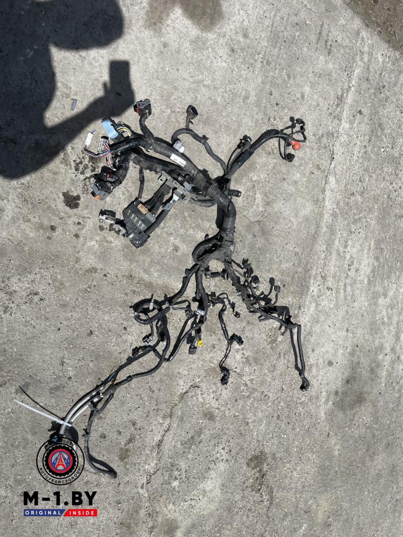 проводка двигателя Renault Koleos 1 поколение (2008 - 2011), 2.0 л., дизель, полный привод - фото №1