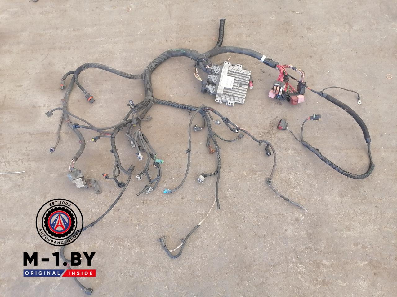 проводка двигателя Renault Sandero 1 поколение (2009 - 2014), 1.5 л., дизель, 237101862R, 237100703R - фото №1