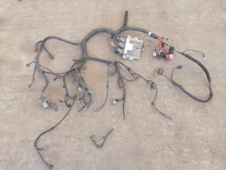 проводка двигателя Renault Sandero 1 поколение (2009 - 2014), 1.5 л., дизель, 237101862R, 237100703R