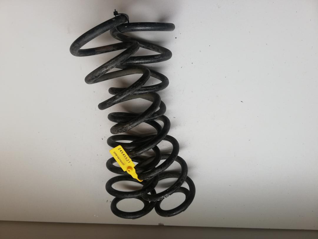 пружина задняя Renault Fluence 1 поколение 2010 - фото №1