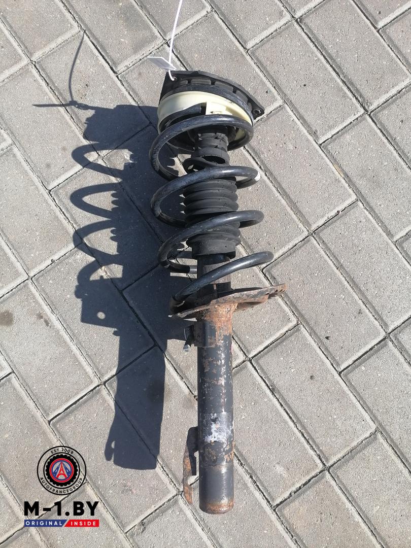 амортизатор передний левый Renault Megane 2 поколение (2002 - 2006) - фото №1