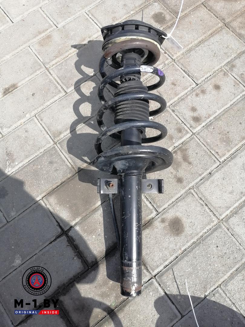 амортизатор передний правый Renault Megane 2 поколение (2002 - 2006) - фото №1