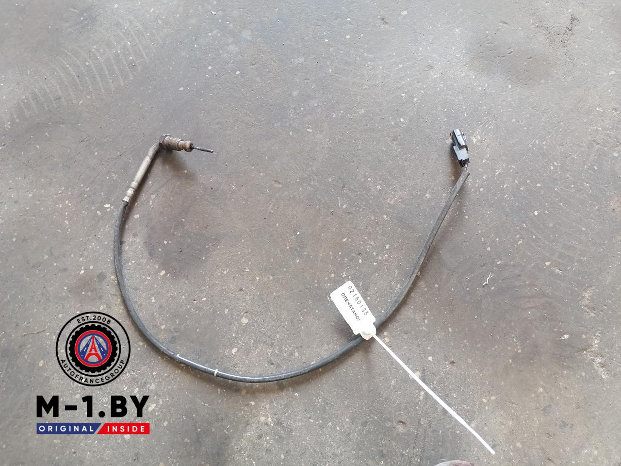 датчик температуры в выпускном коллекторе Renault Grand Scenic 3 поколение (2009 - 2012), 226407522R - фото №1