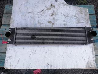 интеркулер Renault Master 2 поколение [рестайлинг] (2003 - 2010), 874806M