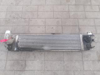 интеркулер Renault Koleos 1 поколение (2008 - 2011), X2587002